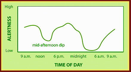 Circadian graph