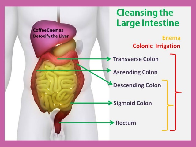 Colon-Cleansing