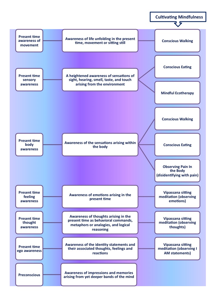 Cultivating Mindfulness