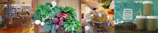 Gerson Therapy Program Hawaii Gerson Diet Cooking Classes