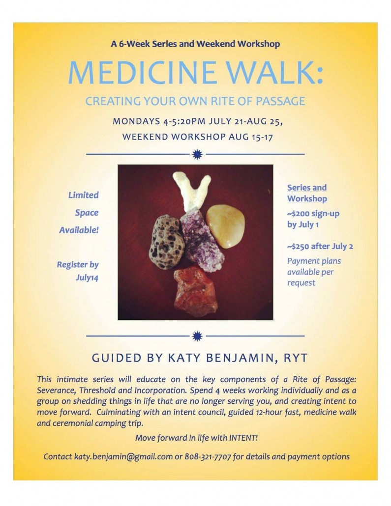 MedicineWalk