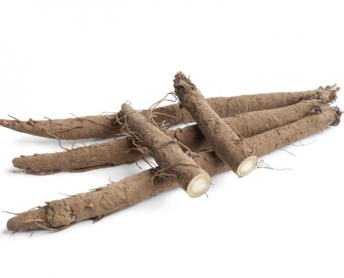 Burdock Root