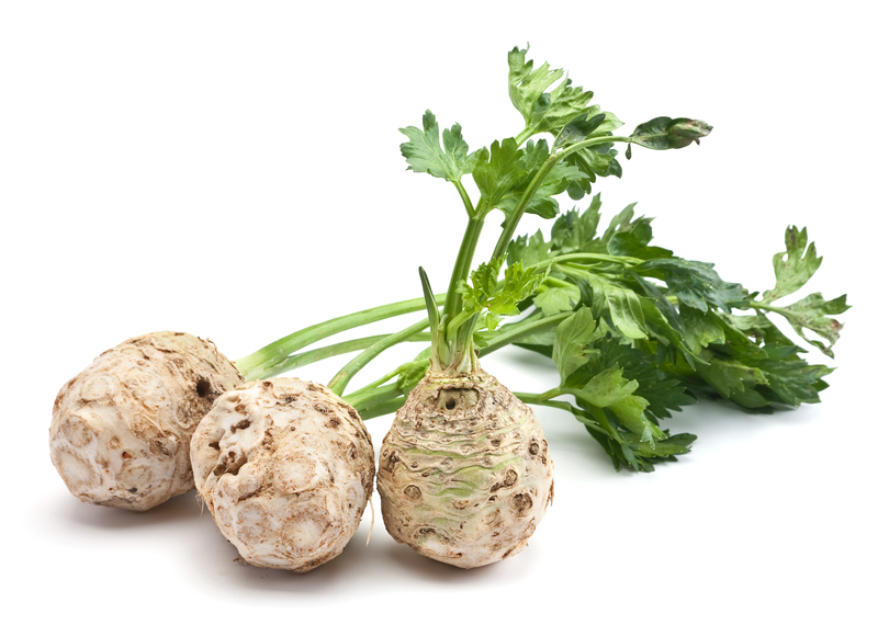 celeriac root also called celery root is a vegetable that's used in Dr Max Gerson's cancer therapy