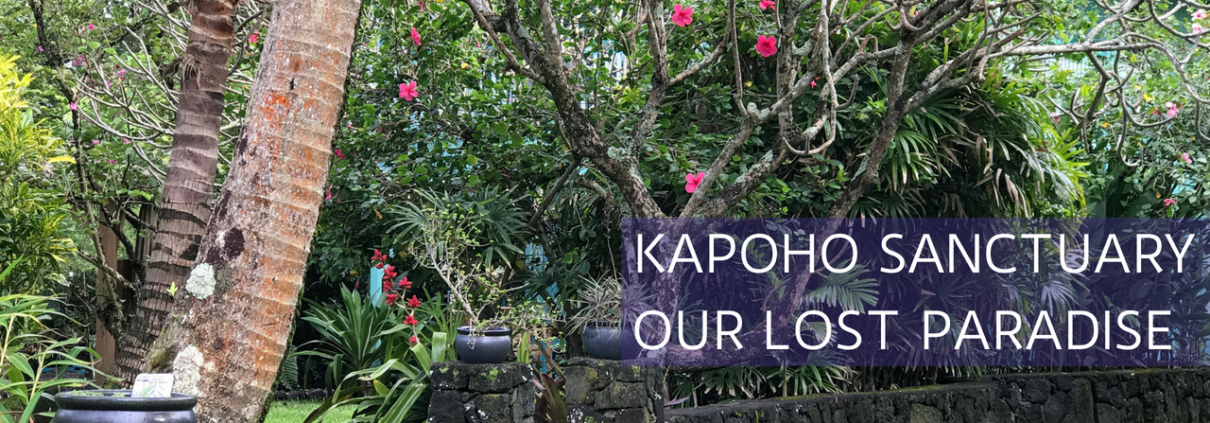 Kapoho Bay destroyed