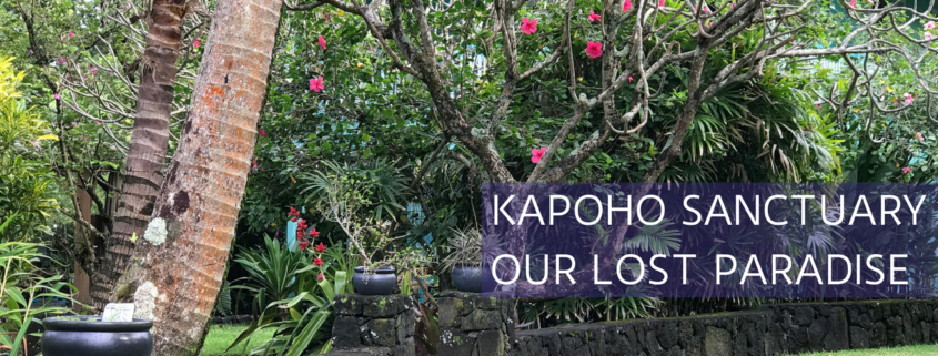 Kapoho Bay destroyed