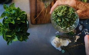 raw vegan Italian pesto sauce freshly made