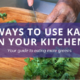 4 Ways to Use Kale in Your Kitchen