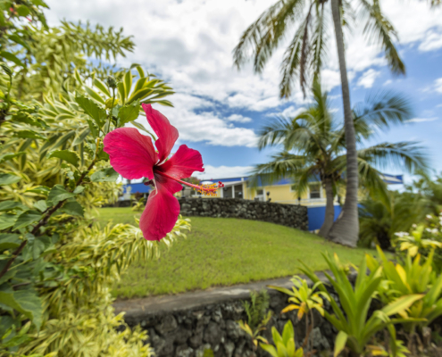 Luana Inn wellness travel destination in Hawaii - juice fasting, water fasting, wellness detox, healthy vacations